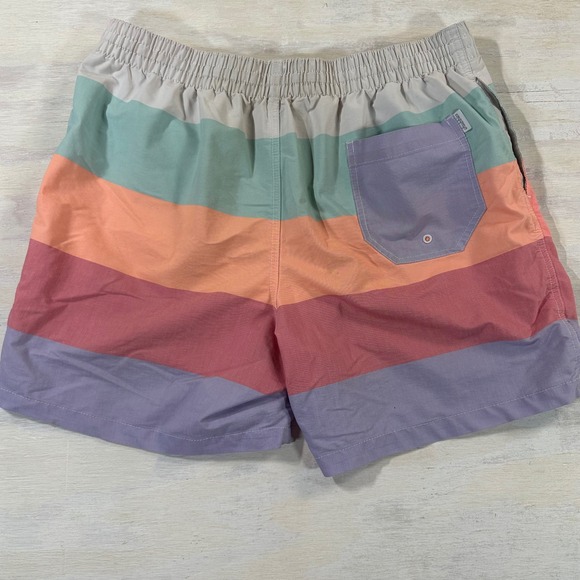 Chubbies Striped Multicolor Shorts Men's XL Casual Athletic Beach Gym Drawstring - Picture 8 of 9